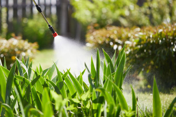 Tamper-Resistant Bait Stations for Rodents in Valley Springs