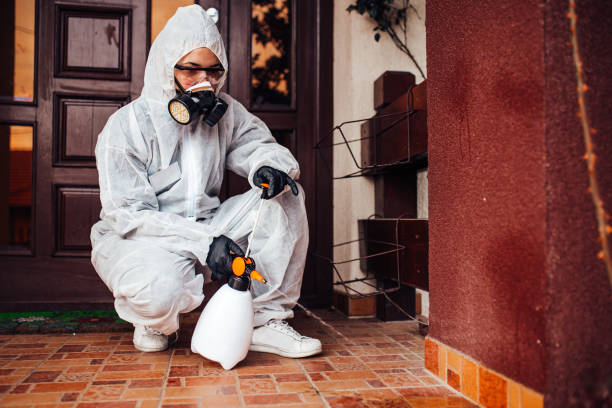 Attic and Crawl Space Rodent Treatment in Valley Springs